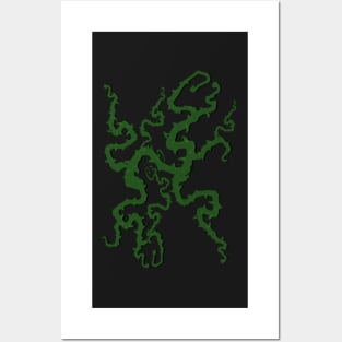 Vines (black background) Posters and Art